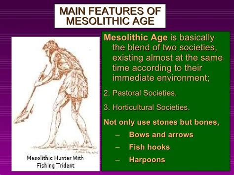 mesolithic meaning in telugu